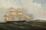 Philip John Ouless, The barque Patricia