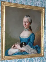Johann Ernst Heinsius, Portrait of Sara Elizabeth Blaaukamer