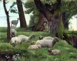 Daniel Alexander Williamson, Sheep Resting