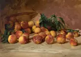 Lloyd Branson, Still Life with Peaches