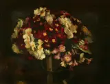 Gerard Chowne, Polyanthus