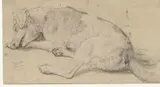 Snyders Frans, Een slapende hond