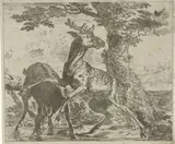 Abraham Danielsz Hondius, Verschillende dieren