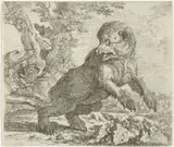Abraham Danielsz Hondius, Beer aangevallen door honden
