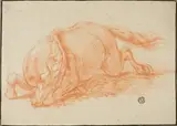 Adrian Frans van der Meulen, Falling Horse