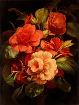 John Charles Robinson, Camellias