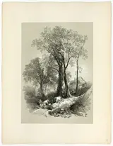 James Duffield Harding O.W.S., Shipley Bridge, Devon, from Picturesque Selections