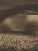 Gaspard-Félix Tournachon Nadar, Interior of Le Géant Inflating