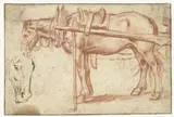 Jan Brueghel, Paard voor een kar en een paardenhoofd