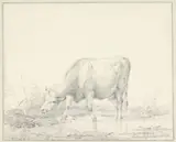 Eugène Joseph Verboeckhoven, Koe, staande in een plas