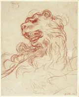 dit Il Volterrano Baldassare Franceschini, Study of the Head of a Lion