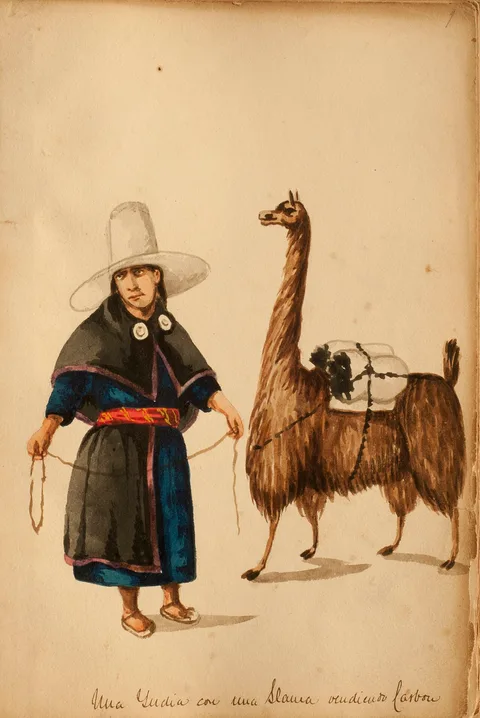 Pancho Fierro, An Indian with a llama selling coal